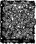KS000305